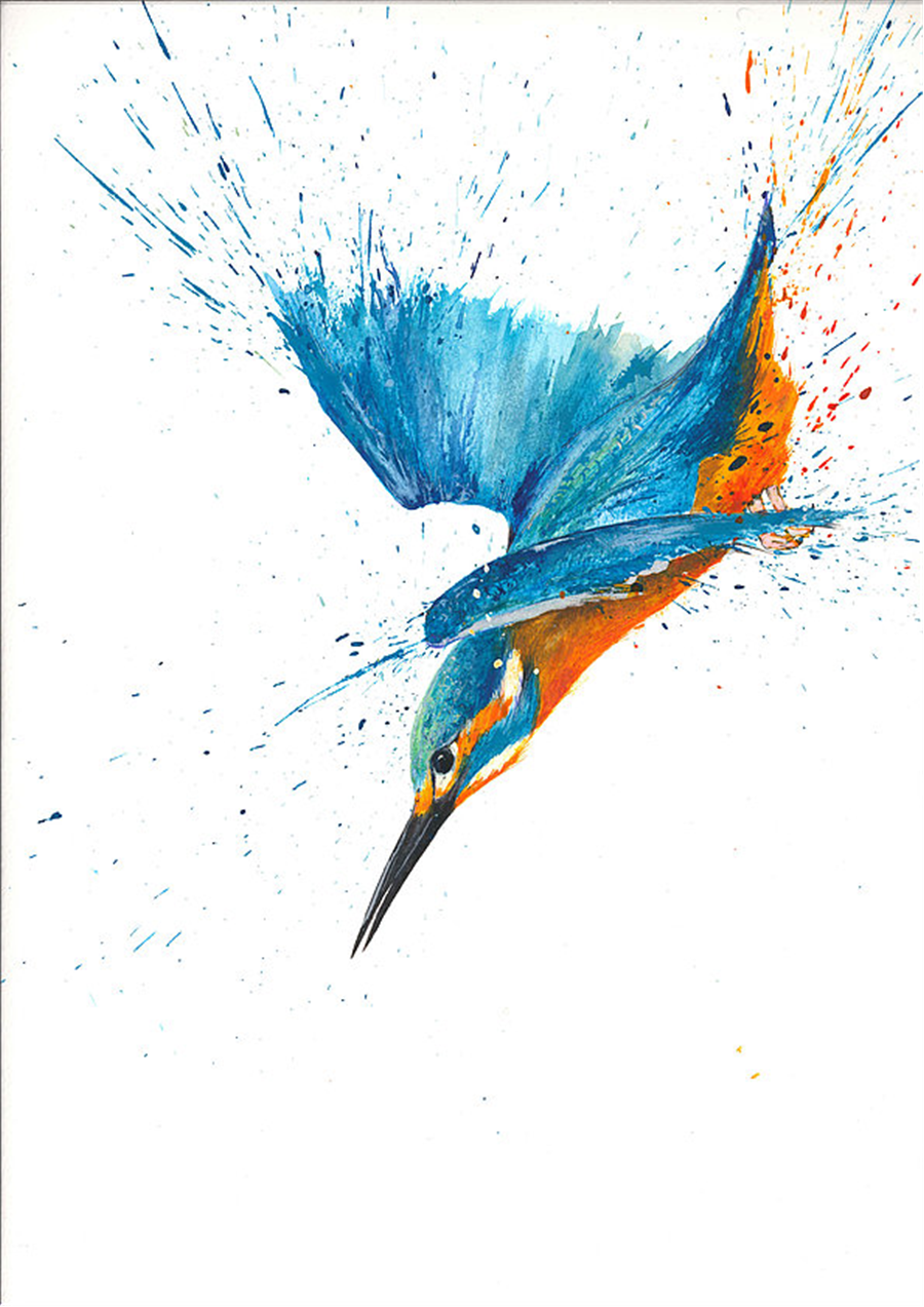 Clare Brownlow Diving Kingfisher Postcards - Pack of 10 32171 ...