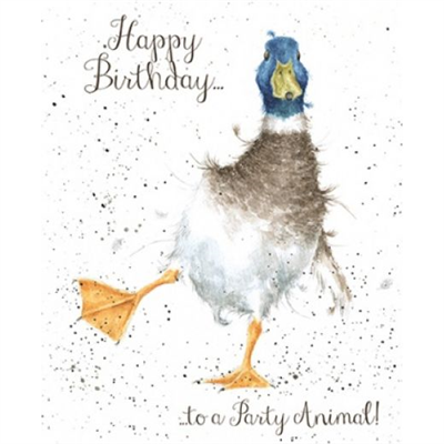 Wrendale Birthday Card - To A Party Animal