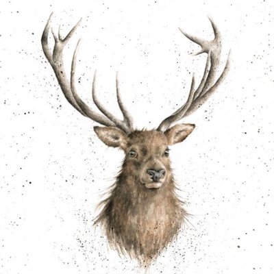 Wrendale Greetings Card - Portrait Of A Stag